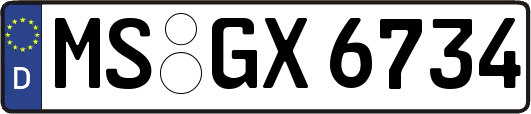 MS-GX6734