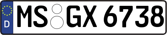 MS-GX6738