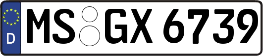 MS-GX6739