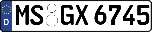 MS-GX6745