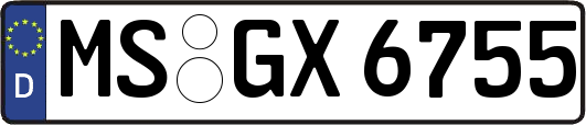 MS-GX6755