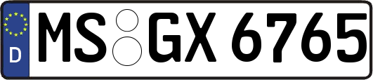 MS-GX6765