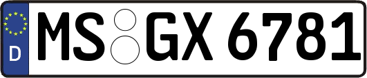 MS-GX6781