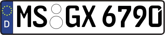 MS-GX6790
