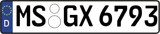 MS-GX6793