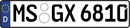 MS-GX6810
