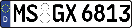 MS-GX6813