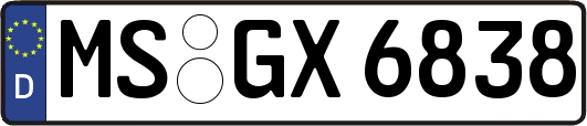 MS-GX6838