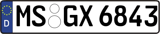 MS-GX6843