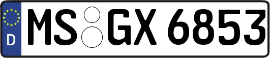 MS-GX6853