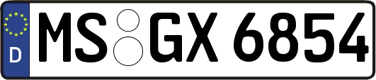 MS-GX6854