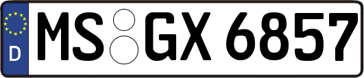 MS-GX6857