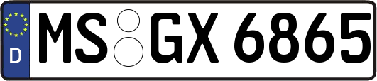 MS-GX6865