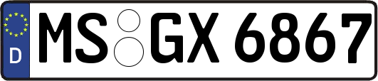 MS-GX6867