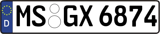 MS-GX6874