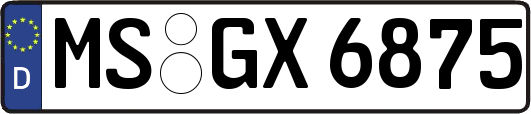 MS-GX6875