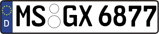 MS-GX6877