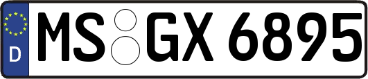 MS-GX6895