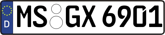 MS-GX6901