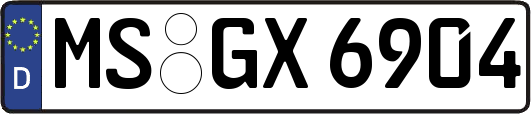 MS-GX6904