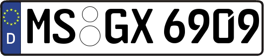 MS-GX6909