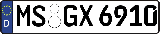 MS-GX6910