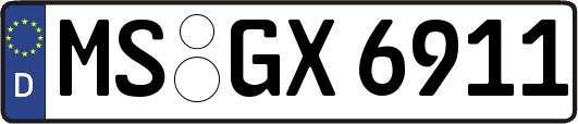MS-GX6911