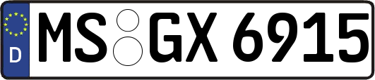 MS-GX6915