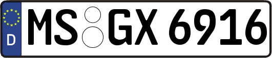 MS-GX6916