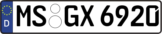 MS-GX6920