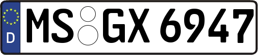 MS-GX6947