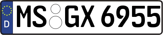 MS-GX6955