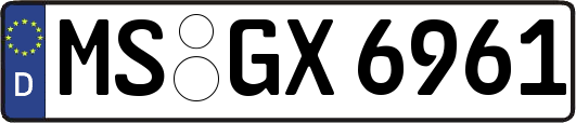 MS-GX6961