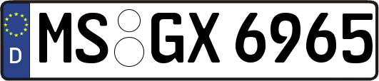 MS-GX6965