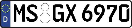 MS-GX6970