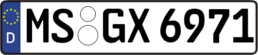 MS-GX6971