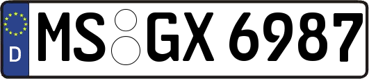 MS-GX6987