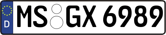 MS-GX6989