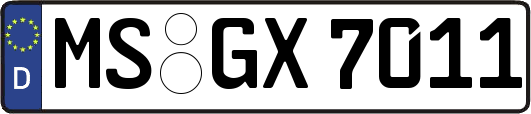 MS-GX7011