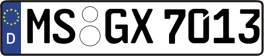 MS-GX7013