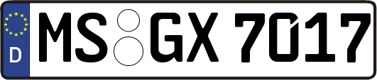 MS-GX7017
