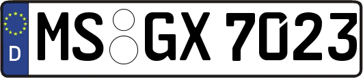 MS-GX7023