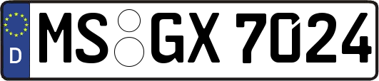 MS-GX7024