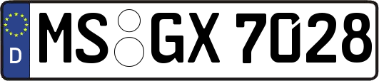 MS-GX7028