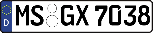 MS-GX7038