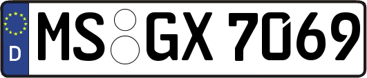 MS-GX7069
