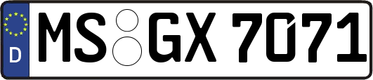 MS-GX7071
