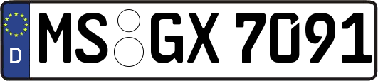 MS-GX7091