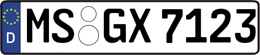 MS-GX7123