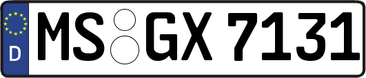 MS-GX7131